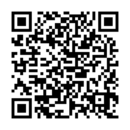 QR code for NZN933