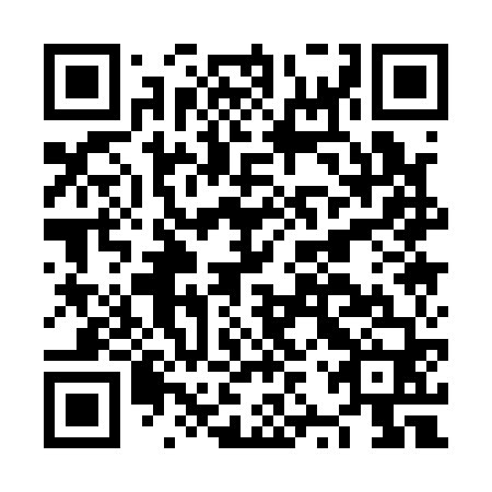QR code for plate NZQ 160