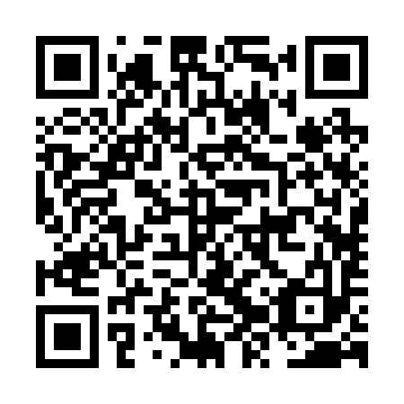QR code for plate NZR 293