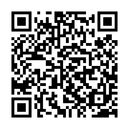 QR code for NZT493