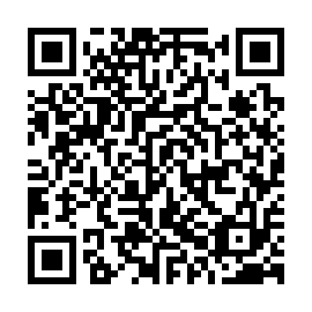 QR code for O0G 313