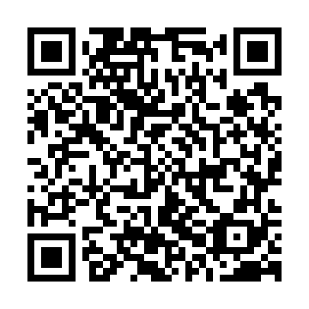 QR code for O0O 768