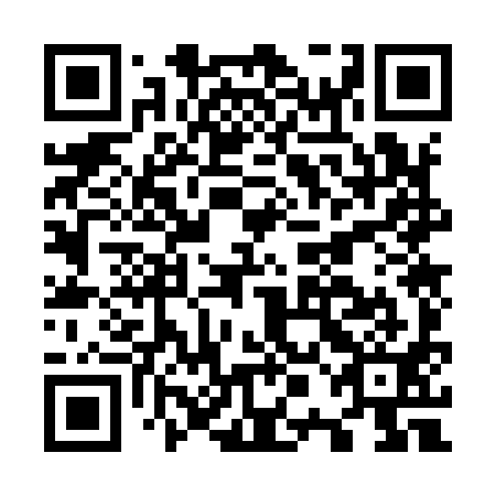 QR code for O0O 991