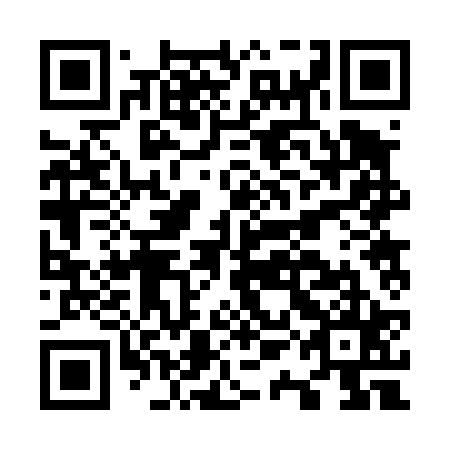 QR code for O1B 425
