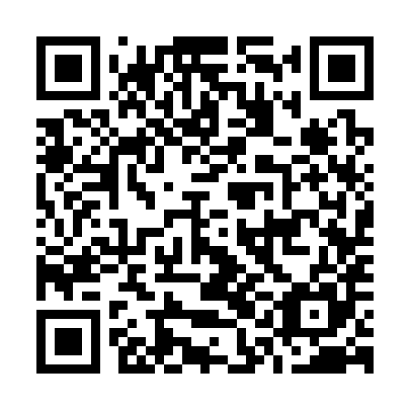QR code for O1C385
