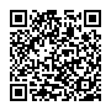 QR code for O1E 311