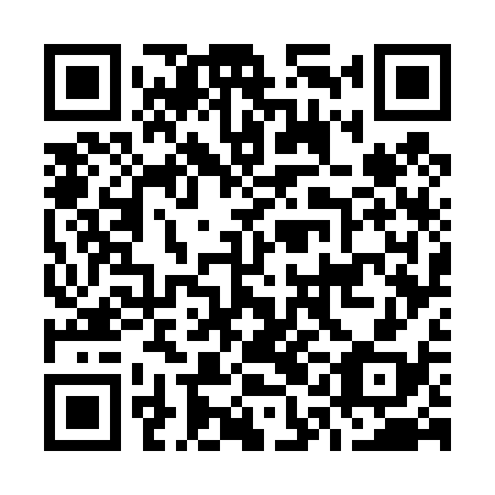 QR code for O1G 438