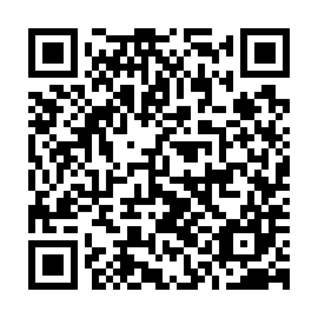 QR code for O1G 787