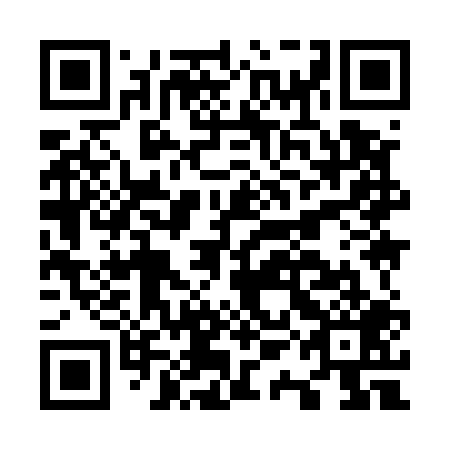 QR code for O1I 509