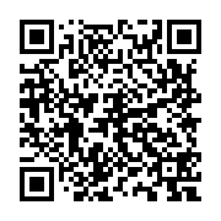 QR code for plate O1M 918