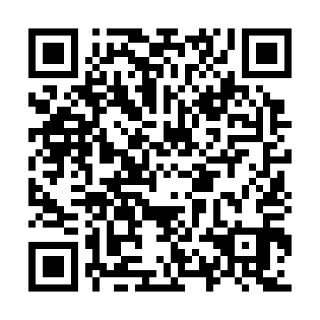QR code for O1N 311