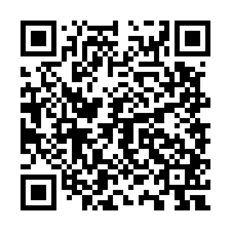 QR code for O1N 541