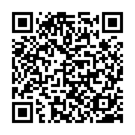 QR code for O1O 971