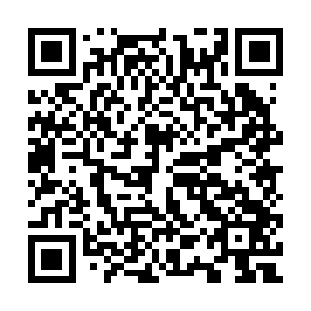 QR code for O1P243