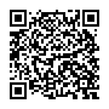 QR code for O1R 246