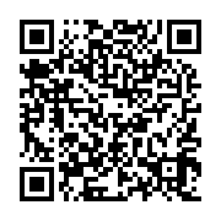 QR code for O1T919