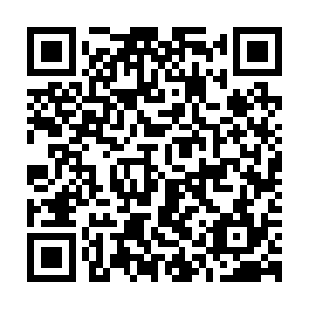 QR code for O1V 234