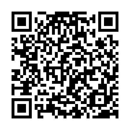 QR code for O1V 312