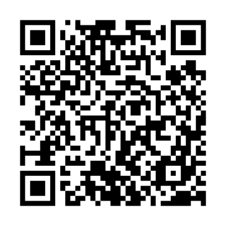 QR code for O1V 667