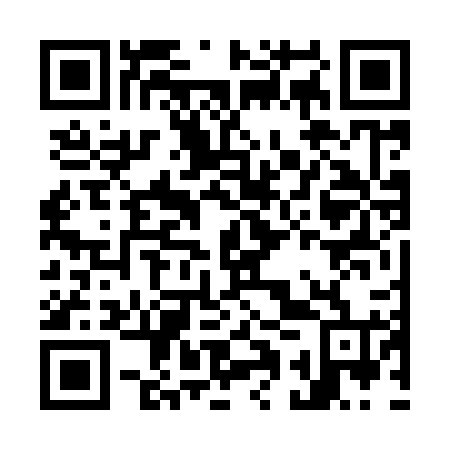 QR code for O1V 924
