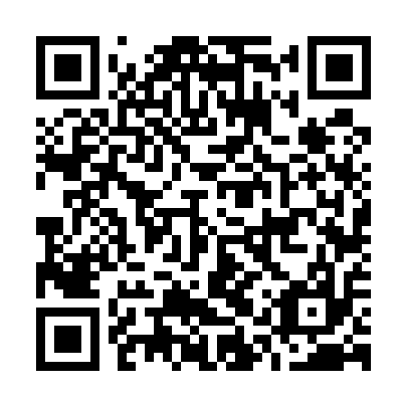 QR code for plate O1V 517