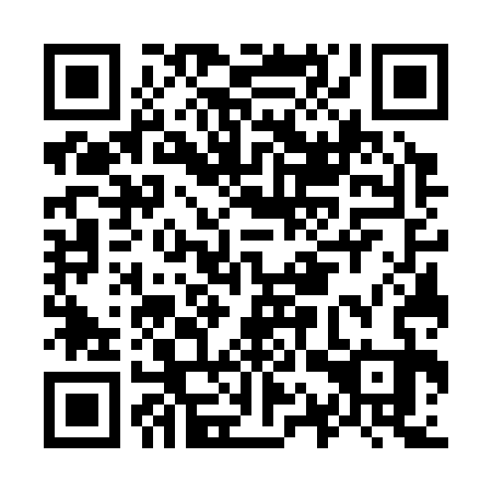 QR code for O1W 333