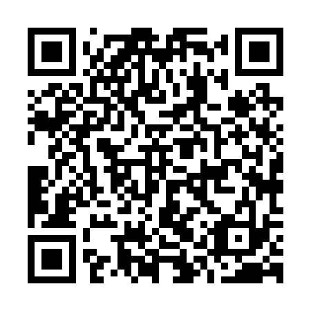 QR code for O1X 233