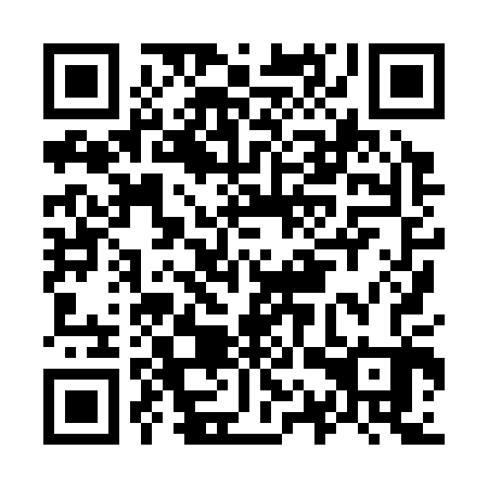 QR code for O1X 303