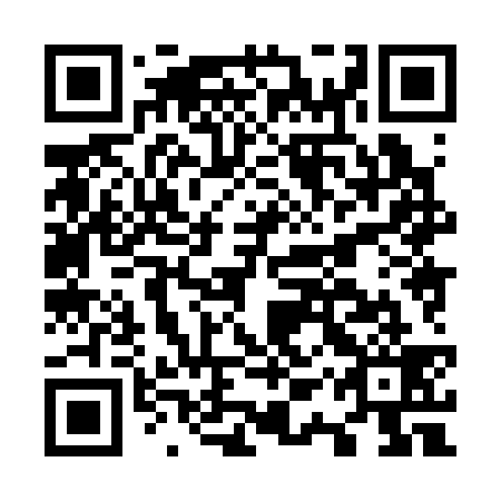 QR code for O1X 339