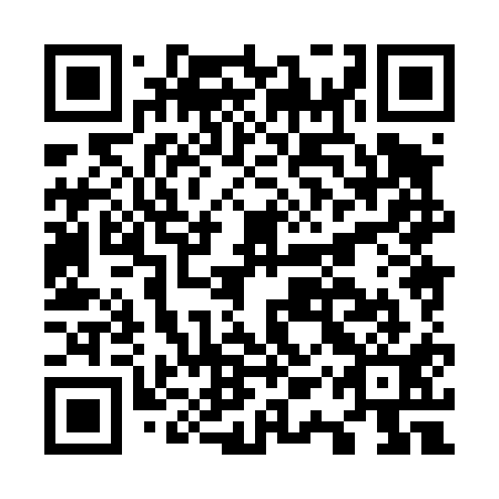 QR code for O1X 411
