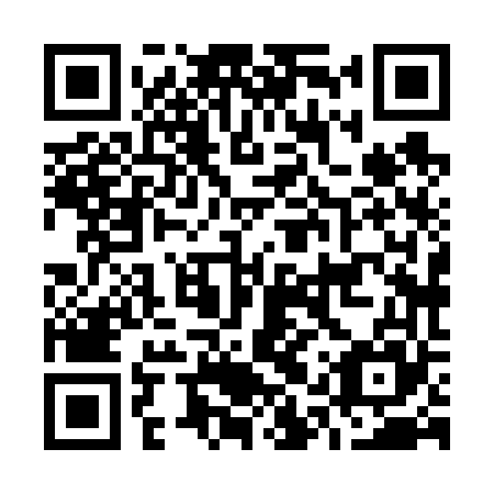 QR code for O1X 665