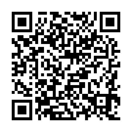 QR code for O1X 991
