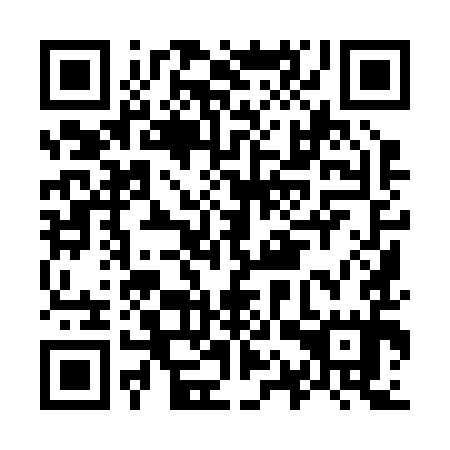 QR code for O1Y 295