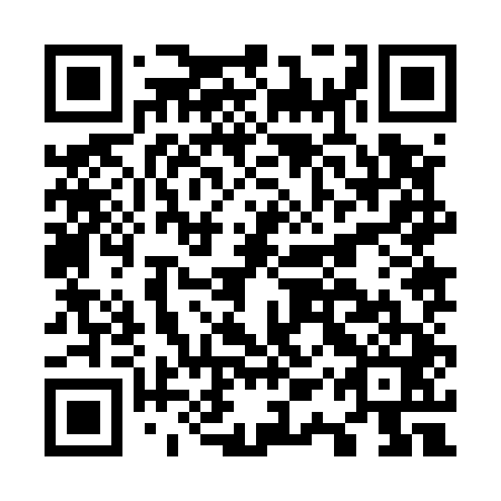 QR code for O1Z 541
