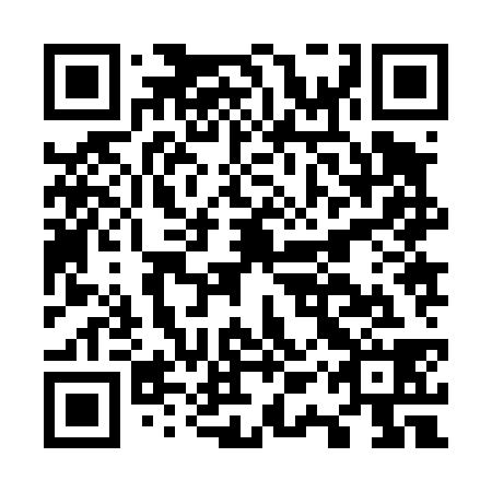 QR code for O1Z438