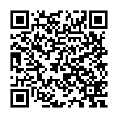 QR code for O2C 919