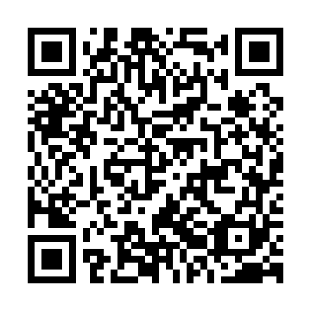 QR code for O2G 161