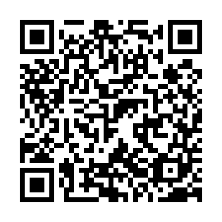 QR code for O2G 541