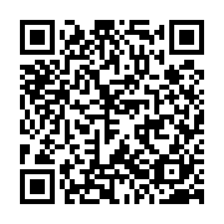 QR code for plate O2G 520