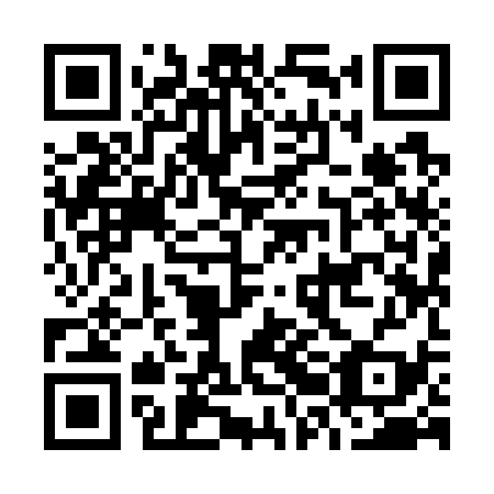 QR code for O2I 739