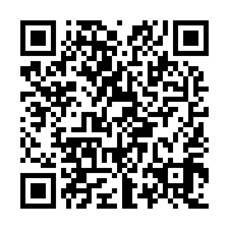 QR code for plate O2N 919