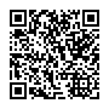 QR code for O2P 379