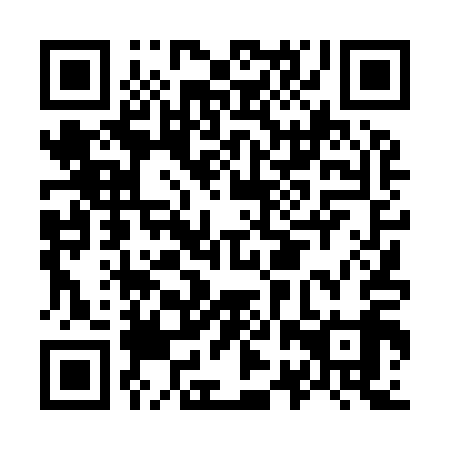 QR code for O2T 919