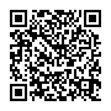 QR code for O2V 333