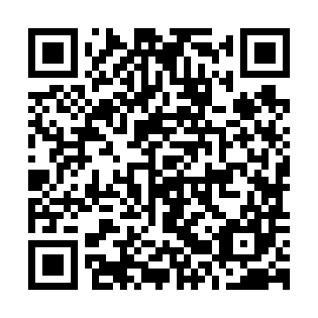 QR code for O2Z 687