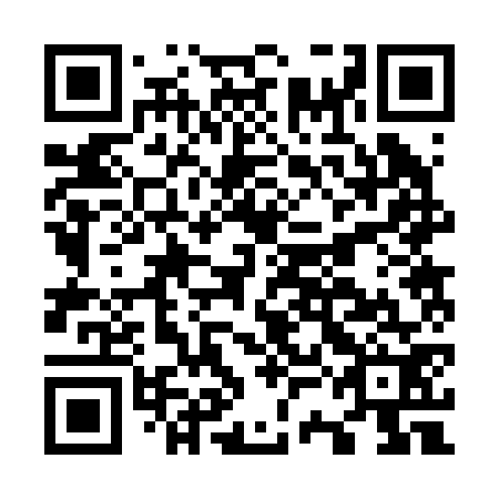 QR code for O3B 272