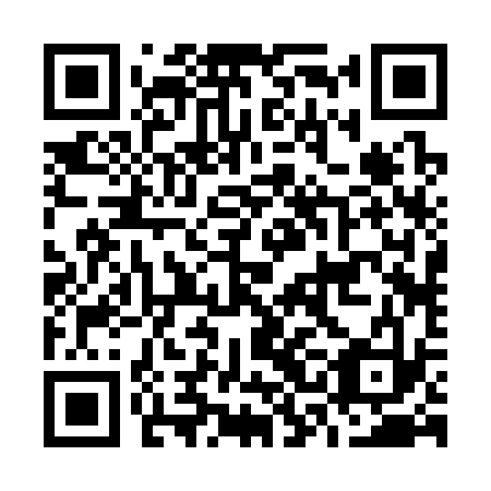 QR code for O3B 333