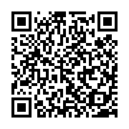 QR code for O3B 419