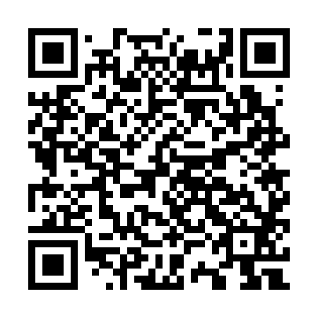 QR code for O3G 382