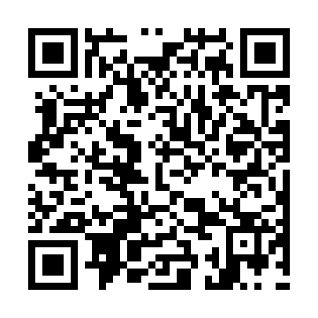 QR code for plate O3G 923